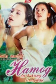 Hamog sa Bukang Liwayway 2004 on netflix