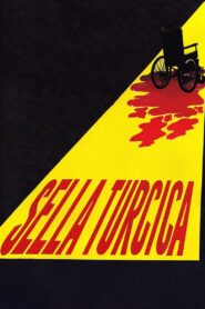 Sella Turcica 2010 on netflix