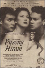 Pusong Hiram 1996 on netflix
