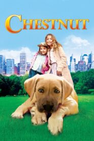 Chestnut: Hero of Central Park 2004 on netflix