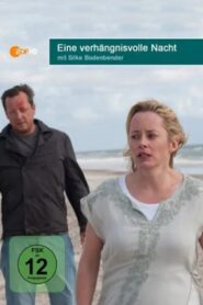 Eine verhängnisvolle Nacht 2013 on netflix