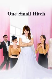 One Small Hitch 2013 on netflix