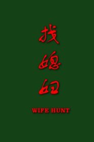 找媳妇 2006 on netflix