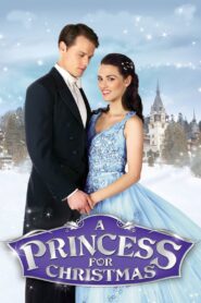 A Princess for Christmas 2011 on netflix