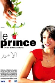Le prince 2005 on netflix