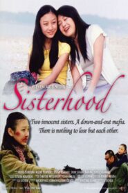 Sisterhood 2008 on netflix