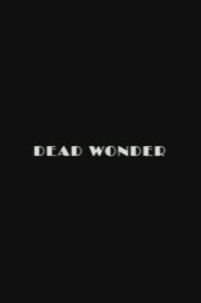 Dead Wonder 2020 on netflix