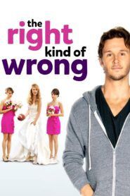 The Right Kind of Wrong 2013 on netflix
