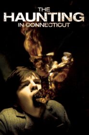 The Haunting in Connecticut 2009 on netflix