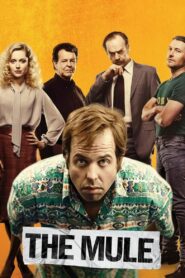 The Mule 2014 on netflix