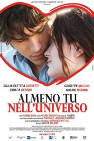 Almeno tu nell’universo 2011 on netflix