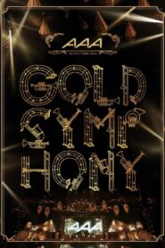 AAA ARENA TOUR 2014 -Gold Symphony- 2015 on netflix