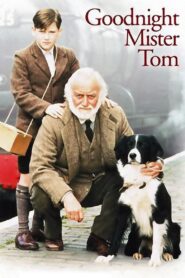 Goodnight, Mister Tom 1998 on netflix