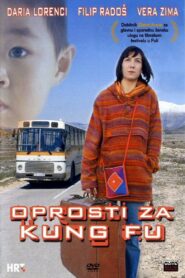 Sorry for Kung Fu 2004 on netflix