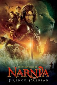 The Chronicles of Narnia: Prince Caspian 2008 on netflix