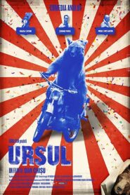 The Bear 2011 on netflix
