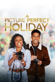 A Picture Perfect Holiday 2021 on netflix