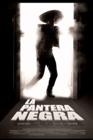 La pantera negra 2010 on netflix