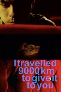 I Travelled 9000 km to Give It to You 2007 on netflix
