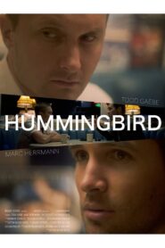 Hummingbird 2019 on netflix