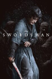 The Swordsman 2020 on netflix