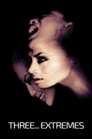 Three… Extremes 2004 on netflix