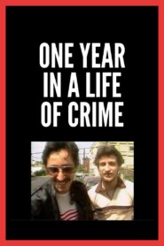 One Year in a Life of Crime 1989 on netflix