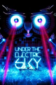 Under the Electric Sky 2014 on netflix