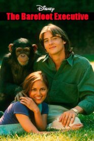 The Barefoot Executive 1995 on netflix