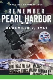 Remember Pearl Harbor 2016 on netflix