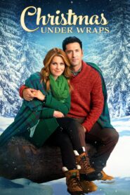 Christmas Under Wraps 2014 on netflix