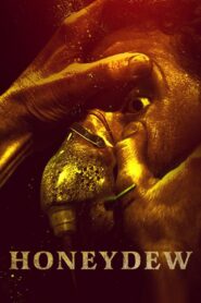 Honeydew 2021 on netflix