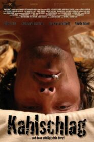 Kahlschlag 2007 on netflix