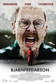 Mr. Bjarnfreðarson 2009 on netflix