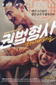 Martial Arts Detective : Chinatown 2015 on netflix