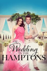 The Wedding in the Hamptons 2023 on netflix