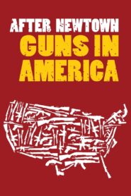After Newtown: Guns in America 2013 on netflix
