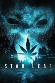 Star Leaf 2015 on netflix