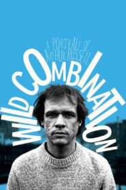 Wild Combination: A Portrait of Arthur Russell 2008 on netflix