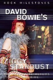 David Bowie’s Ziggy Stardust 2006 on netflix