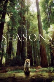 Seasons 2016 on netflix