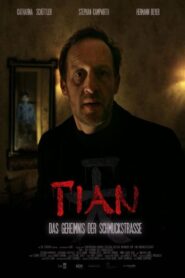 Tian – Das Geheimnis der Schmuckstraße 2018 on netflix