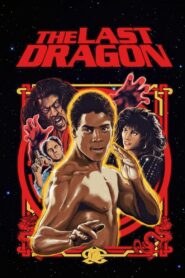 The Last Dragon 1985 on netflix