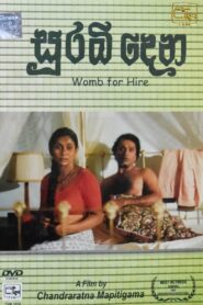 Surabidena 1993 on netflix
