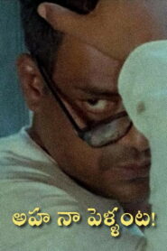 Aha Naa Pellanta! 1987 on netflix