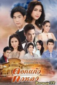 Dokkaew Kahlong 2017 on netflix