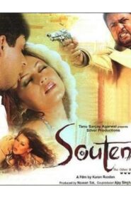 Souten: The Other Woman 2006 on netflix