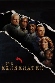 The Exonerated 2006 on netflix