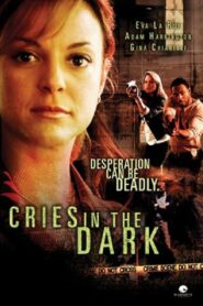Cries in the Dark 2006 on netflix