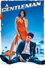 A Gentleman 2017 on netflix